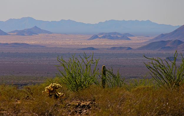 Pinacate生物圈保护区的熔岩场